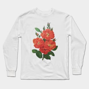 Vintage Rose Floral Flower Illustration Pretty Red Long Sleeve T-Shirt